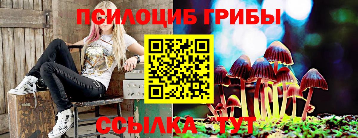 где купить   Галлюциногенные грибы GOLDEN TEACHER  Ижевск  Вход с VPN  Псилоцибиновые грибы Psilocybe 